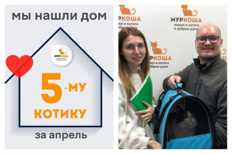 Роскошный котик Фрай встретил свою семью!