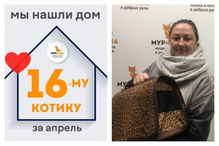 Котик Майкл начинает счастливую домашнюю жизнь!
