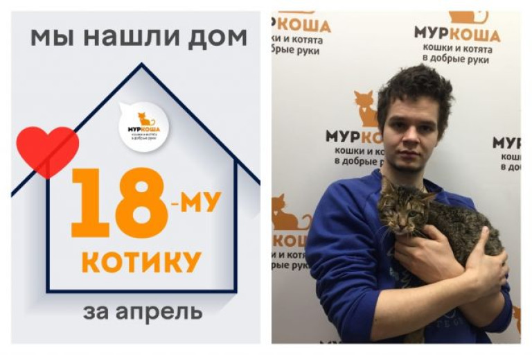 У котика Рагнара теперь есть дом и семья!
