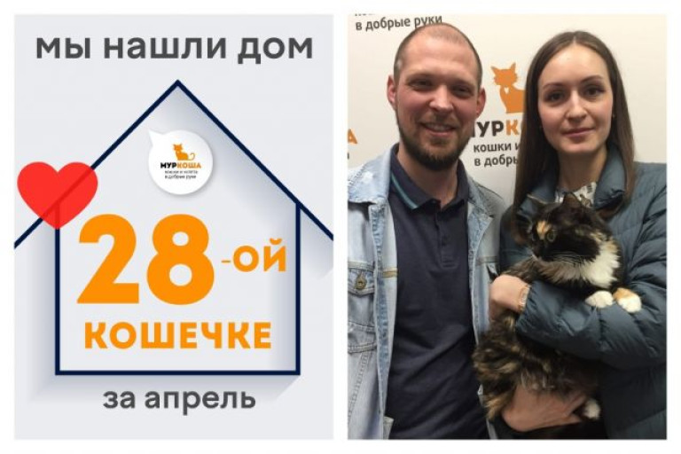 Прекрасная кошечка Петуния отправилась домой!