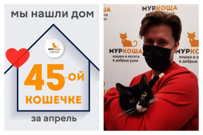 Кошечка Криста начинает счастливую домашнюю жизнь!