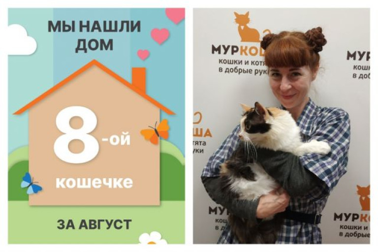 Сладкая кошечка Пряничка стала домашней любимицей!