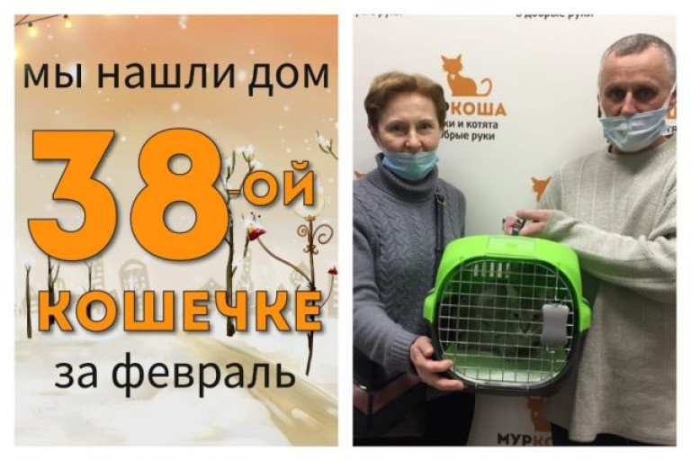У кошечки Сьюзен теперь есть дом и семья!