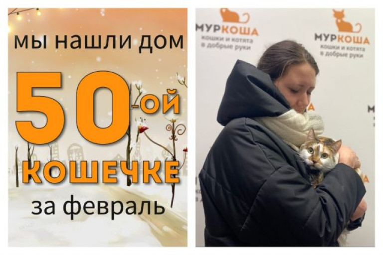 Кошечка Бандитка начинает счастливую домашнюю жизнь!