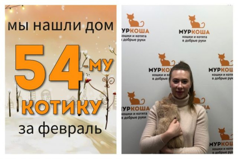Котенок Назарушка нашел дом за один месяц!