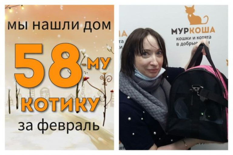 Котик Лямур познакомился со своей хозяйкой!