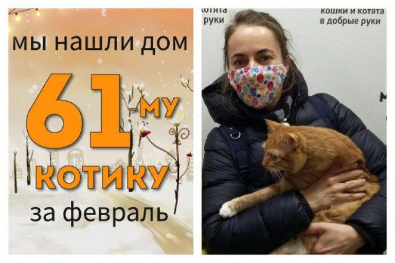 Котик Золотник встретил заботливую семью!
