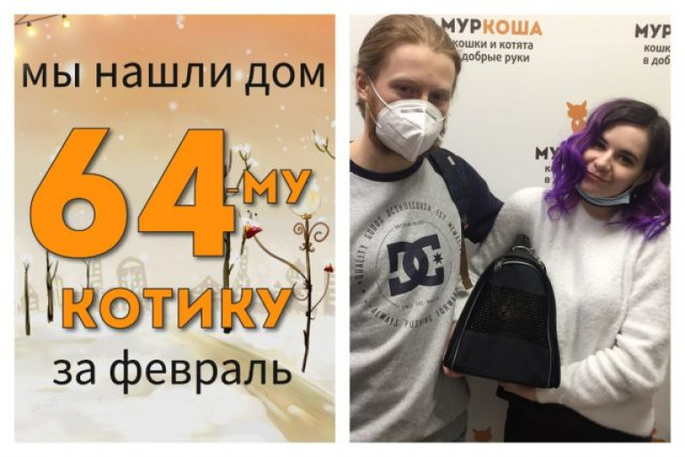 Котик Бумбастик нашел дом за три недели!