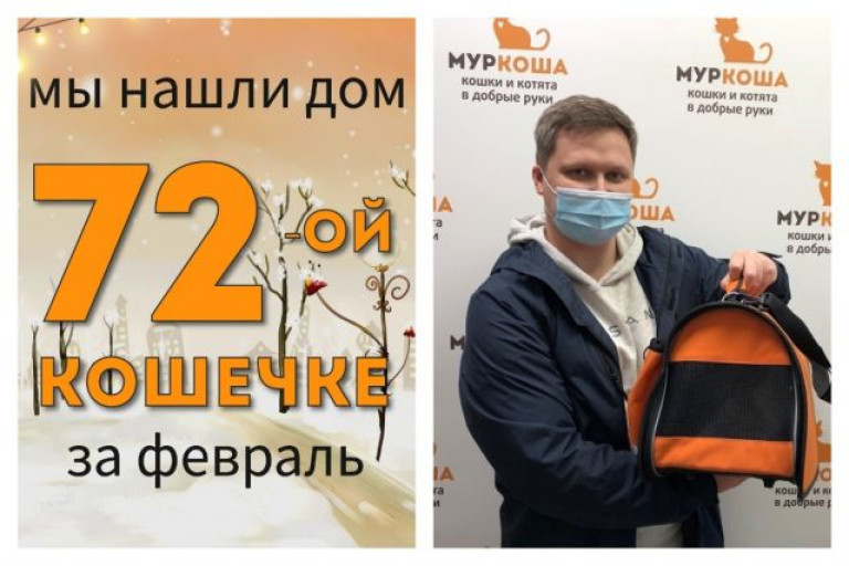 Кошечка Руана отправляется домой!