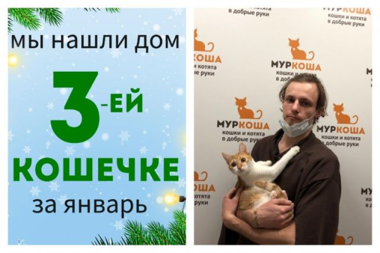 Кошечка Умка стала домашней!