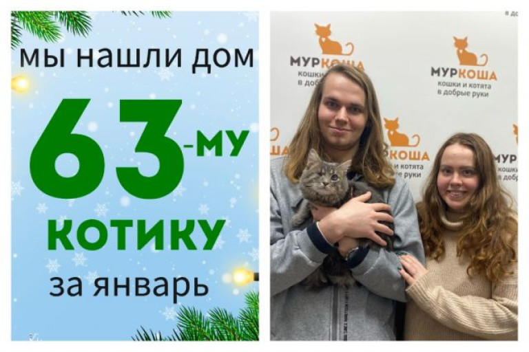 Пирус стал домашним котиком!