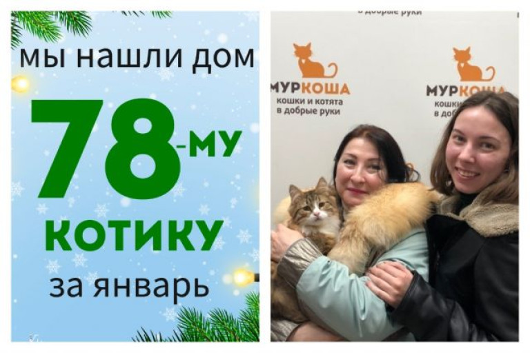 У котика Мяврика появились дом и семья!