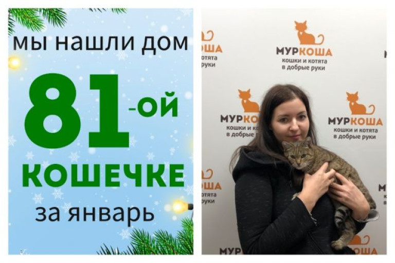 Кошечка Вайнона нашла дом за полтора месяца!