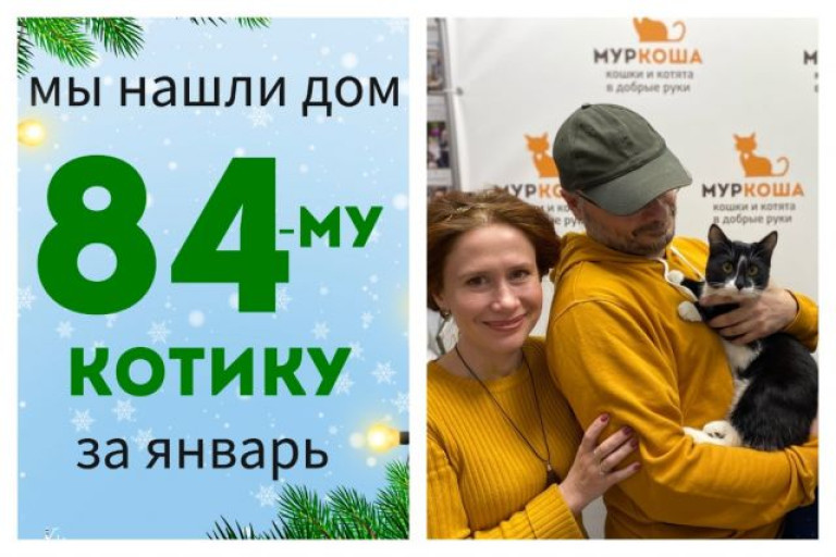 Котик Пирог стал домашним всего за две недели!