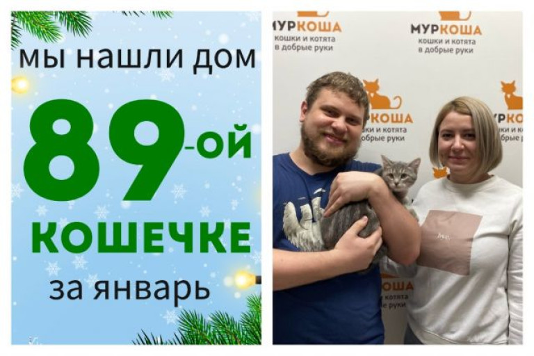 Кошечка Джанти рада познакомить со своими хозяевами!