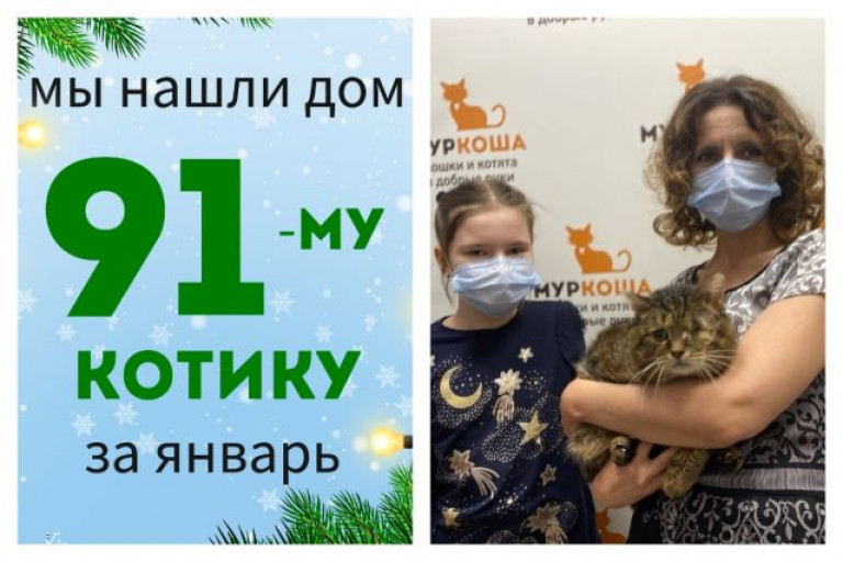 Девятилетний Кушон начинает новую домашнюю жизнь!