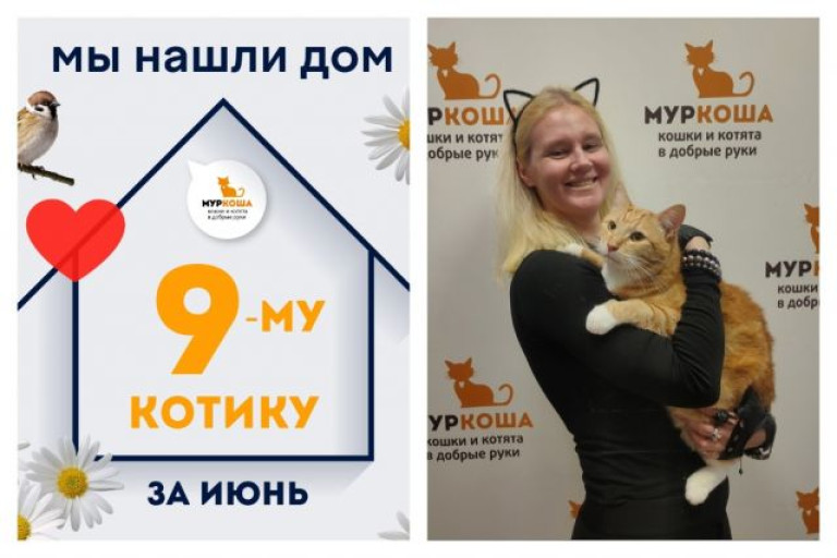 Котик Саймон, наш почетный психолог, стал домашним любимцем!
