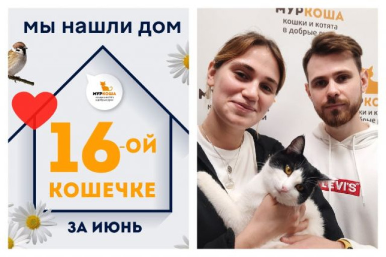 Кошечка Мявочка стала домашней!