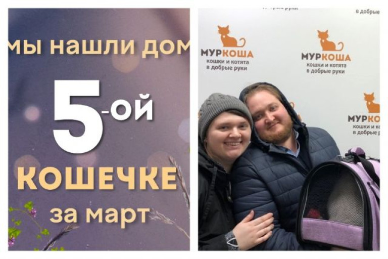 Кошечка Букля нашла новый дом меньше чем за месяц!