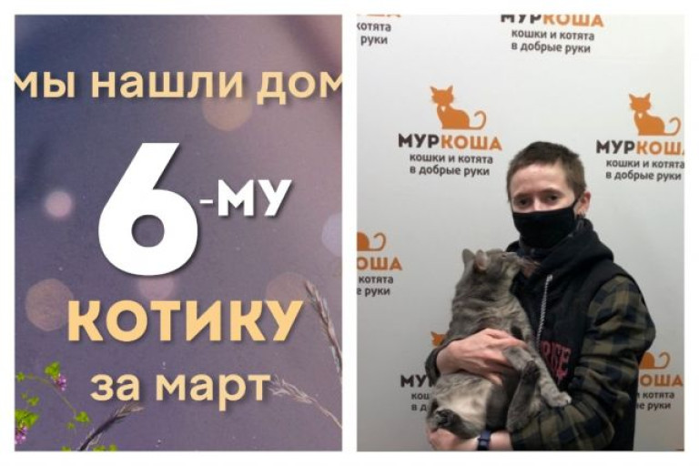 Котик Тициан отправился в новый дом!