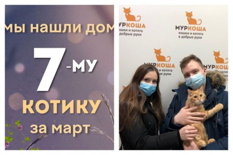 Маленький рыжик Батоша стал домашним и счастливым!