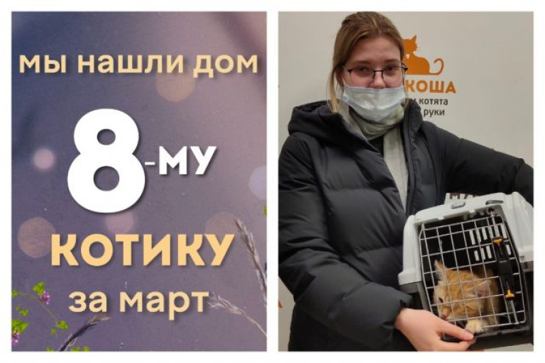Котёнок Мажителькин начинает счастливую домашнюю жизнь!