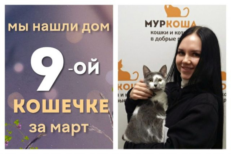 У кошечки Понки появилась заботливая хозяйка!