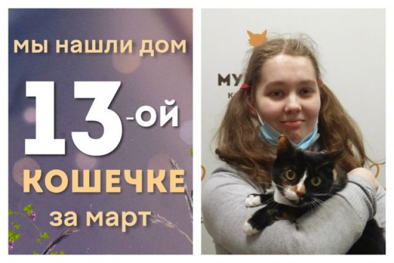 Прекрасная кошечка Афродита отправилась домой!