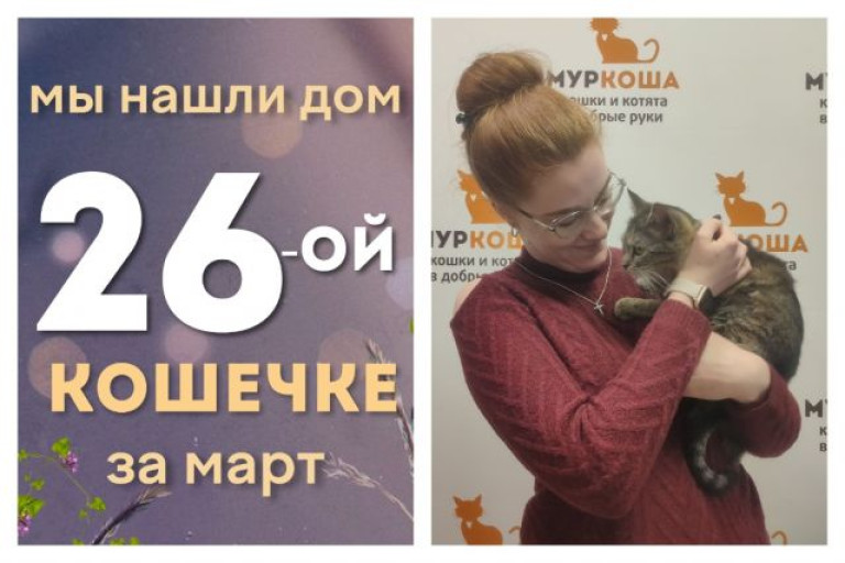 Кошечка Тулия встретила надежную хозяйку!