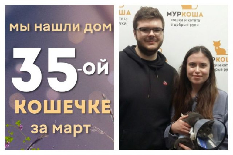 Кошечка Мирель начинает домашнюю жизнь!