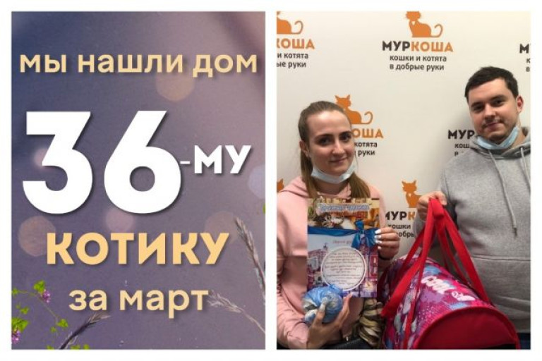 Котик Гимнаст начинает жизнь с чистого листа!