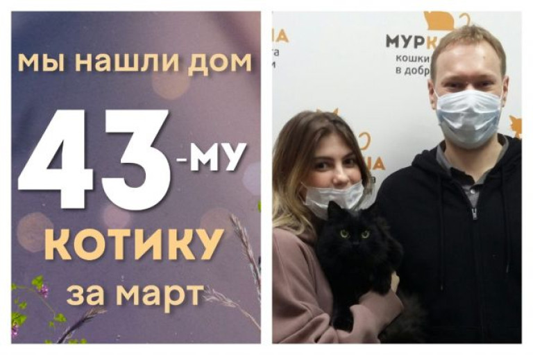 Котик Емеля начинает новую домашнюю жизнь!