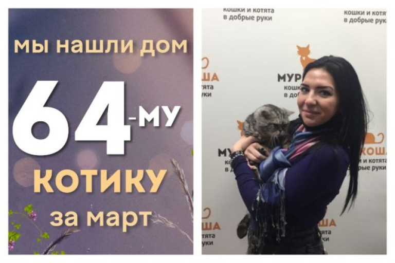 Котик Спиридон начинает счастливую домашнюю жизнь!