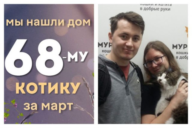Котик Махоня стал домашним и счастливым!
