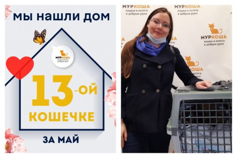 Кошечка Норин встретила своего человека!
