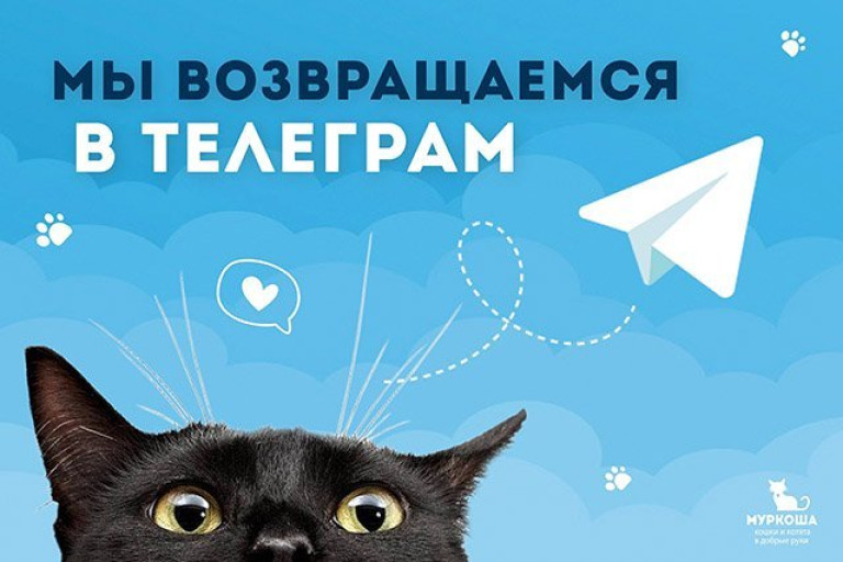 Отличная новость – мы возвращаемся в Телеграм!