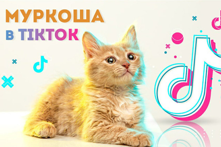 МУРКОША в Tiktok!