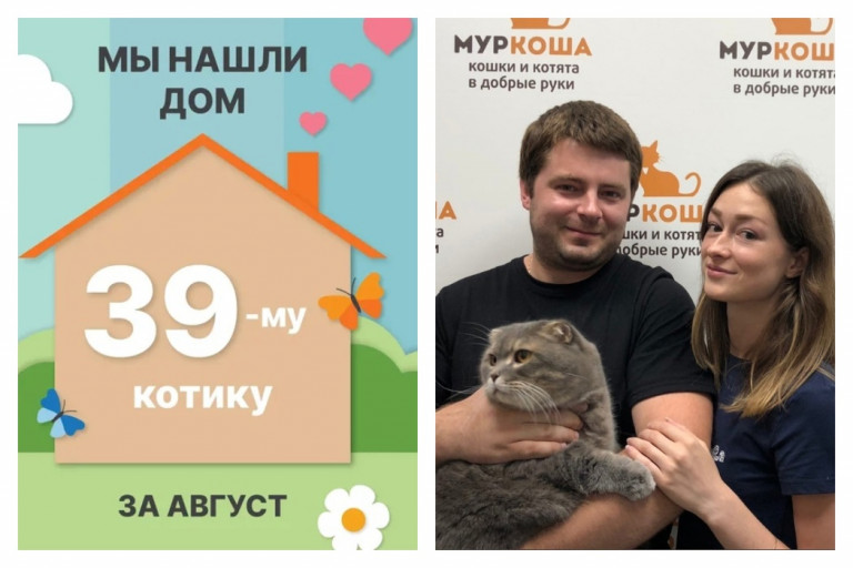 Семилетний кот Тигран начинает жизнь с чистого листа!