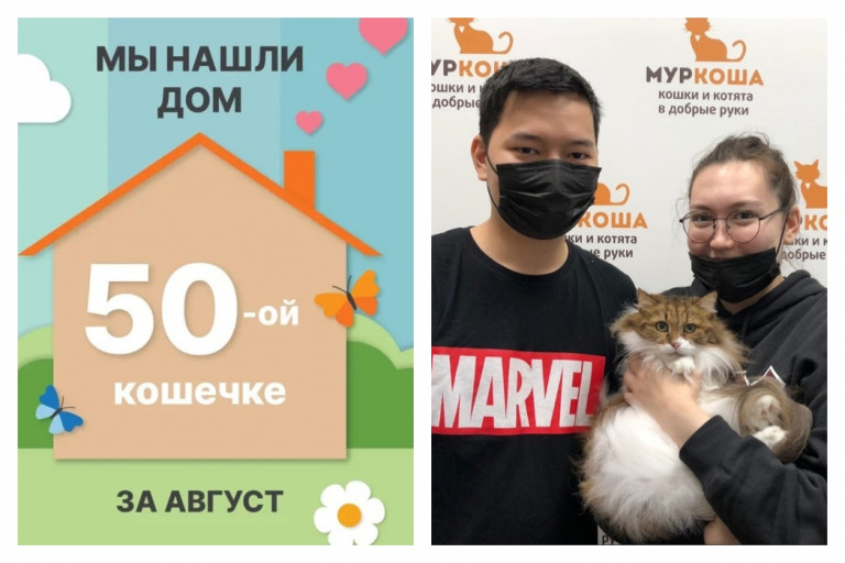 Кошечка Ушанка встретила свою чудесную семью!