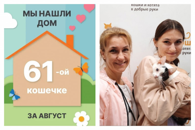 Милая кошечка Соломинка отправилась домой!