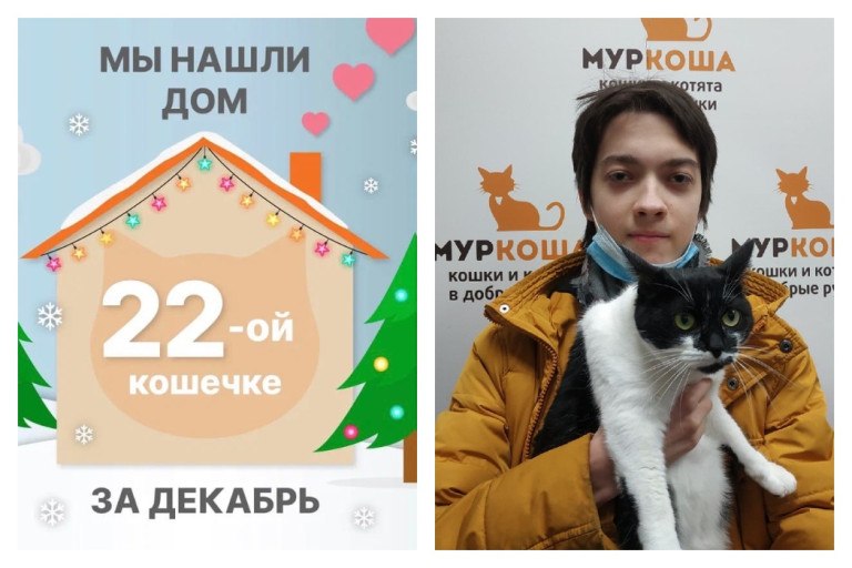 Кошечка Касандра отправляется в домашнюю жизнь!
