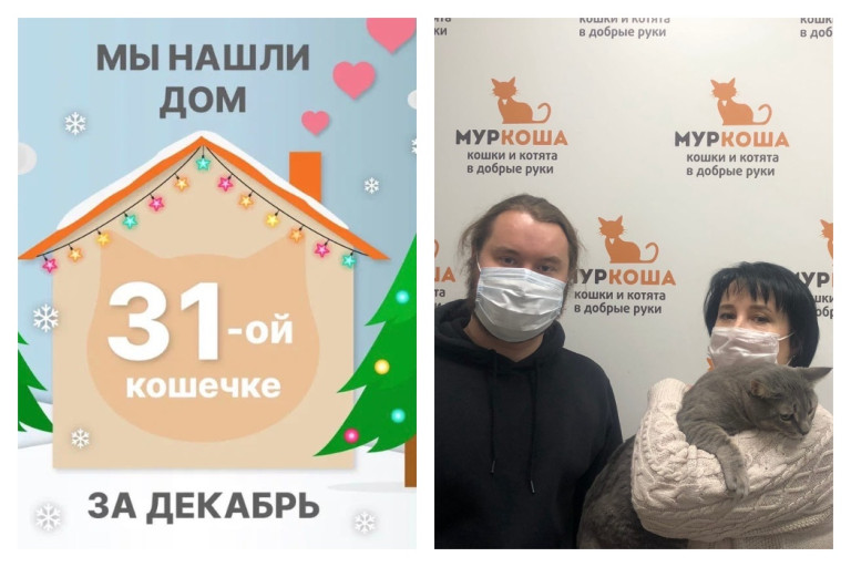 Кошка Баста обрела настоящую семью!