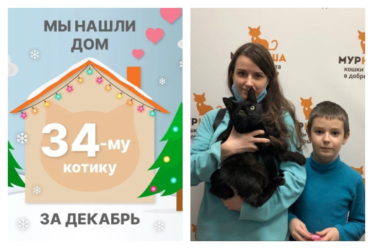 Отважный котик Тунец начинает домашнюю жизнь!