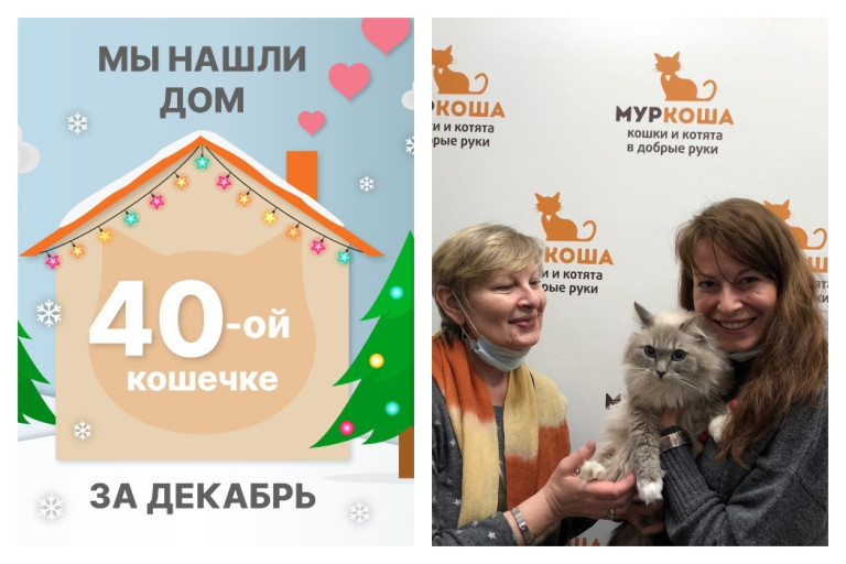Прекрасная Лисуня отправляется в новый дом!