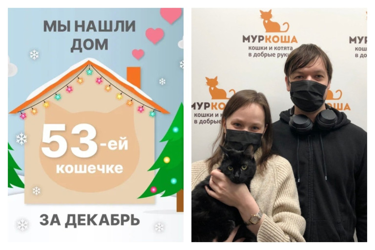 Кошечка Багги стала домашней и счастливой!