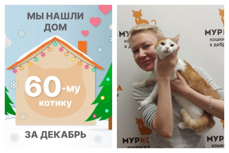 Котик Парафин стал домашним и любимым!