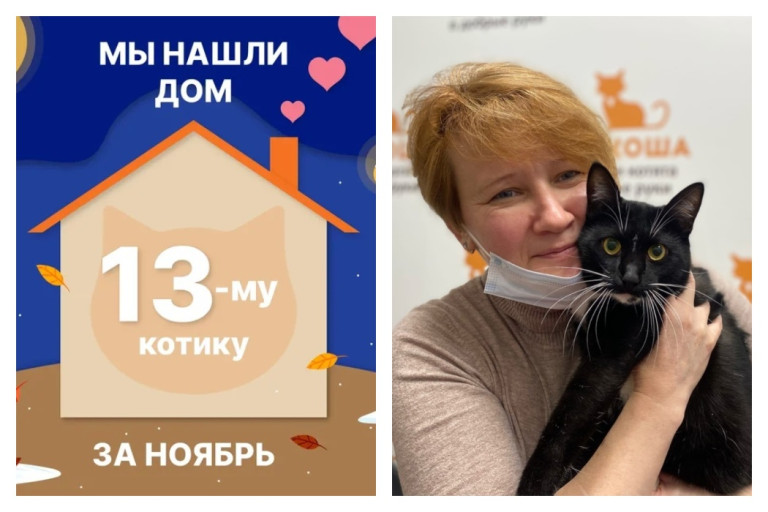 Котик Винтер начинает домашнюю жизнь!