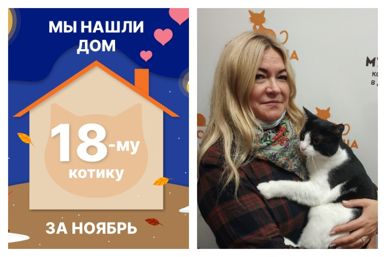 Котик Астик начинает домашнюю жизнь!