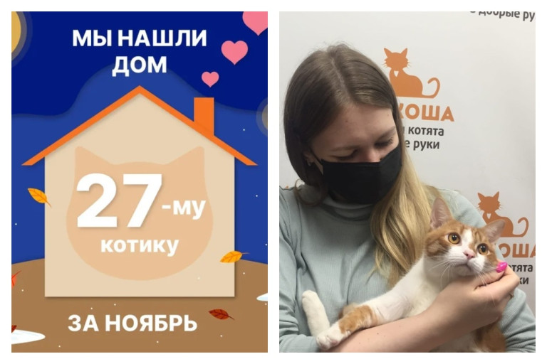 Котик Какао рад познакомить со своей семьёй!