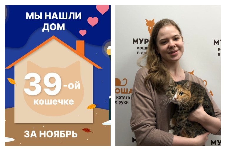 Кошечка Шпулька стала домашней и счастливой!